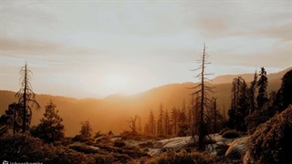 برای یک سلام ساده تمرین کرده ام عمری - دکلمه شعر محمدحسین ملکیان