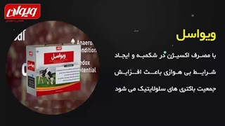 مخمر زنده ویژه نشخوار کنندگان | ویواسل