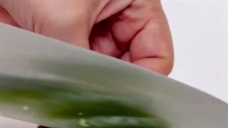 طرز تهیه کباب لاپلو