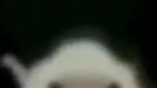 سخنی ندرم._.