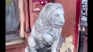 چگونه با برنامه Scaniverse به صورت سه بعدی عکس بگیرید و به اشتراک بگذارید!