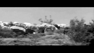 سکوت سبز/فیلمی از یوسف همتی