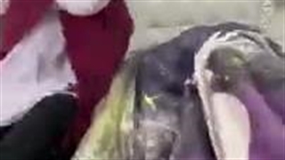 باز آمد بوی ماه مدرسه