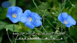 عقل چیست؟(آیت الله العظمی مظاهری)