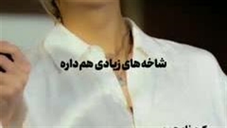 هیی مدرسه نرفتم امروز حالم خوب نبود کی دیگه نرفته