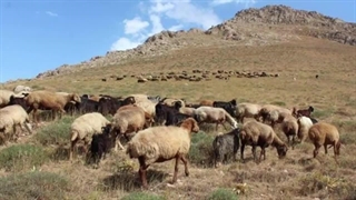 روستای مرموز: 5 روستای عجیب در ایران که اهالیش اتفاقات غیرعادی رو تجربه کردن