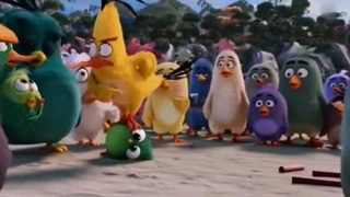 دانلود کارتون ترکی پرندگان خشمگین Cizgi Filmi Qəzəbli Quşlar