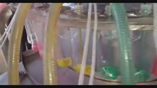 دستگاه پرکن و دربند مایع ظرفشویی 6 سیلندر توان صنعت | ۰۹۱۵۲۰۰۰۰۵۰