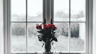 گل سرخ - دکلمه شعر محمدسعید میرزایی