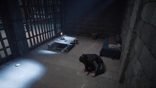 سریال چینی ببر و درنا 2023 Tiger and Crane قسمت 21 با زیرنویس فارسی