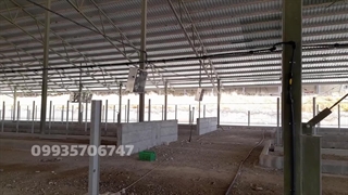 معرفی پروژه نصب مه پاش پارس صنعت در گاوداری سلیمانیه عراق