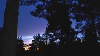 کمپ انفرادی در طبیعتی بکر