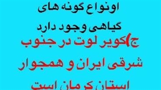 فیلم نمونه تدریس مهندس امین نظری معلم خصوصی ریاضی و تیزهوشان