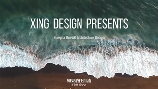 از تاسیسات تولید زیستی که در دل حوضچه های آبی کم عمق در چین قرار دارند