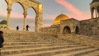 نماهنگ زیبای محمد طارق و محمد یوسف پیرامون فلسطین - طوفان الاقصی