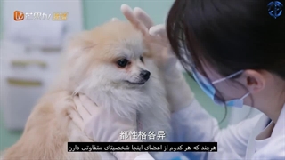 تماشای قسمت اول سریال My Precious/ محبوب من با زیرنویس فارسی چسبیده