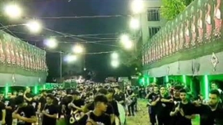 این قشنگ ترین سلامه ذاکر محمد تیموری