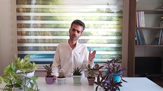 مدت نوردهی در گیاهان آپارتمانی یعنی چی؟