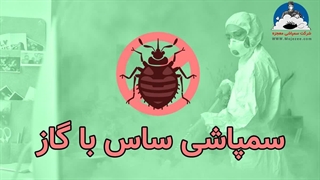 سمپاشی ساس با گاز توسط شرکت معجزه - mojezee.com