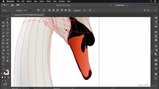 آموزش فتوشاپ برای طراحان ایلاستریتور - گرافیسم