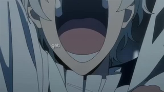 ادیت سگ های ولگرد بانگو