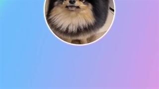 لایو تهیونگ ( BTS) در ویورس همراه زیرنویس فارسی آنلاین ( تاریخ 2023.10.15)♡♡ کپ.