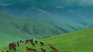 طبیعت شگفت انگیر قزاقستان