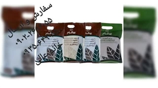 نمایندگی فروش خرید ارسال پخش قیمت عرضه عمده خاک گل آپارتمان بهکام به کام بنفشه آفریقایی بونسای بنسای کوکوپیت زاموفیلیا در نوشهر