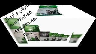 نمایندگی فروش خرید ارسال پخش قیمت عرضه عمده خاک گل آپارتمان بهکام به کام بنفشه آفریقایی بونسای کوکوپیت زاموفیلیا در خوزستان