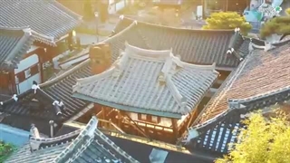 تور کره جنوبی: کشوری پر از تنوع فرهنگی و مناظر زیبا