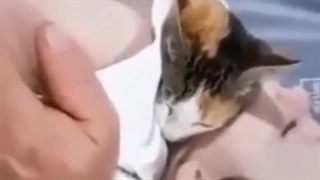 وقتی حیوان خدا هم از مظلومیت کودکان فلسطینی غمگین میشود