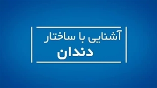 آشنایی با ساختار دندان ( کلینیک دندانپزشکی شبانه روزی آرتین )