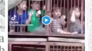 The reality behind the curtain of the Gaza hospital