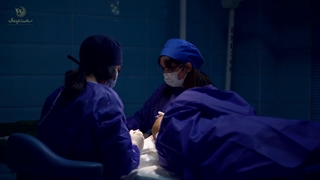 هزینه کاشت مو در مشهد