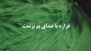 رزی