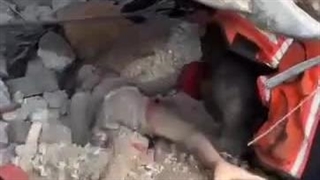 بخواب‌که‌تودنیاخوابش‌۲۴ساعته‌هستش...