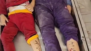 Heri nomina in corporibus suis inscripserunt atque hodie victimae scelerum Israelium factae sunt