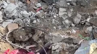 Infanticide is Israel's specialty - children in Gaza remain the main target