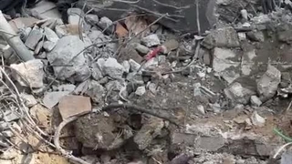 Kindermord ist Israels Spezialität – Kinder in Gaza bleiben das Hauptziel