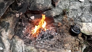 Bushcraft Camp with my Dog