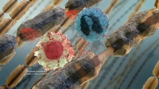 با مصرف ۳ ویتامین مهم سیاتیک و سندرم تونل کارپل را درمان کنید