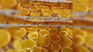 دستگاه خشک کن 1000 کیلویی اسوه 09138900047