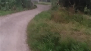 آرزو حاجی خانی، گیلان،لاکان، سلکی سر