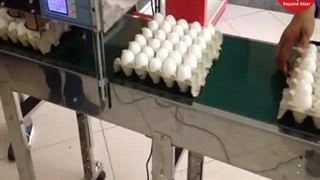 جت پرینترتخم مرغی محصول شرکت سپندافزار