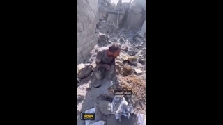 سرود زیبای حامیان فلسطین در کشور سوئد - استکهلم