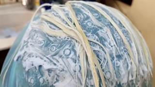 رنگ مو مردانه استخوانی