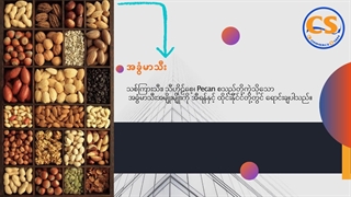 مشاوره  و خدمات در امور بازرگانی سیام