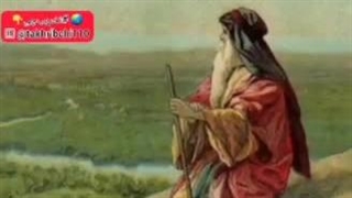 نصیحت مورچه به حضرت سلیمان