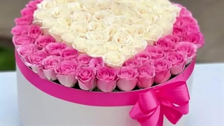 دسته گل رز صورتی زیبا و شیک