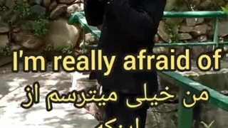 لحظاتی آرامش در طبیعت